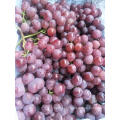 buy fresh grape in paper bag import red grape export